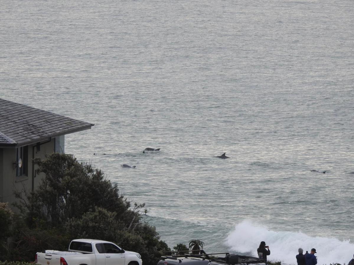 Apartament Surfstar At Mimosa Jeffreys Bay Zewnętrze zdjęcie