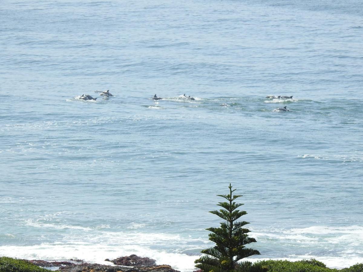 Apartament Surfstar At Mimosa Jeffreys Bay Zewnętrze zdjęcie