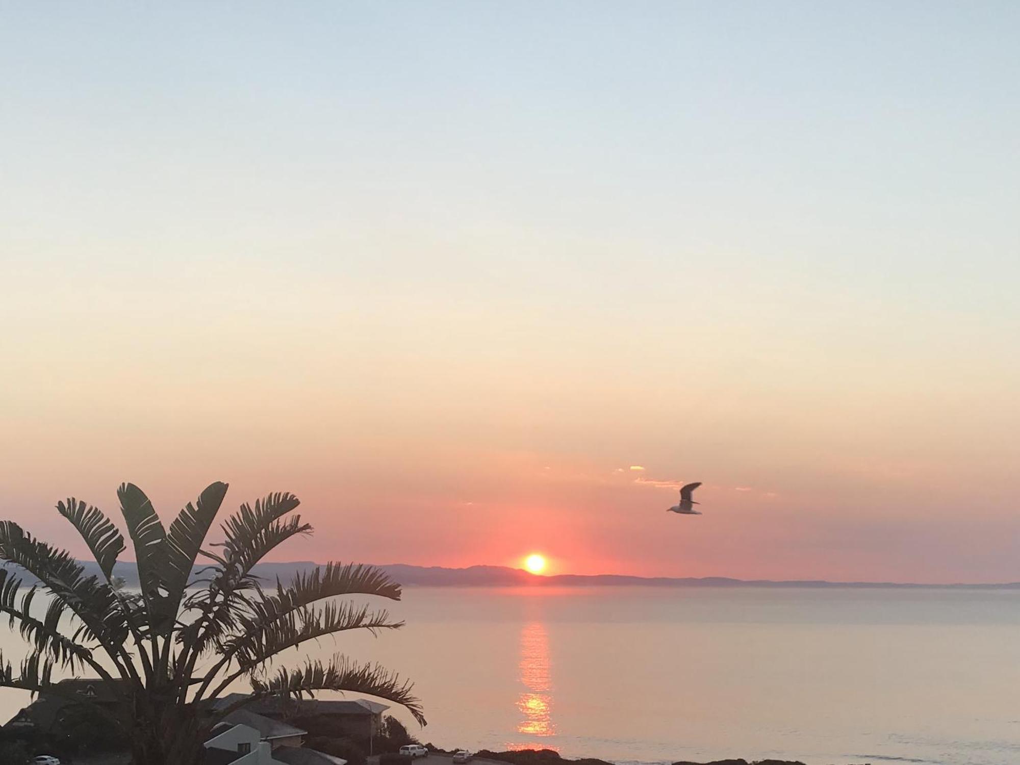 Apartament Surfstar At Mimosa Jeffreys Bay Zewnętrze zdjęcie