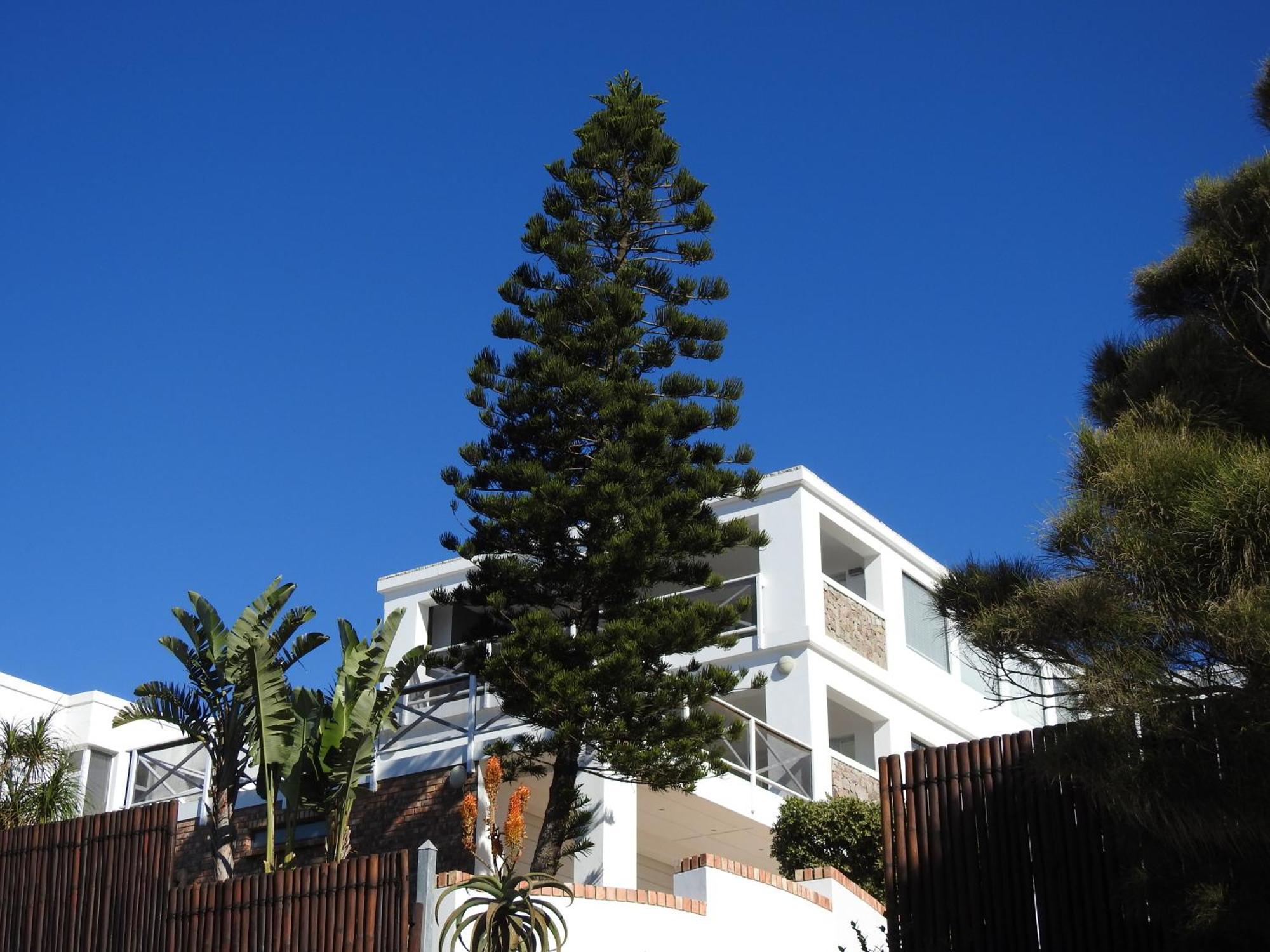 Apartament Surfstar At Mimosa Jeffreys Bay Zewnętrze zdjęcie